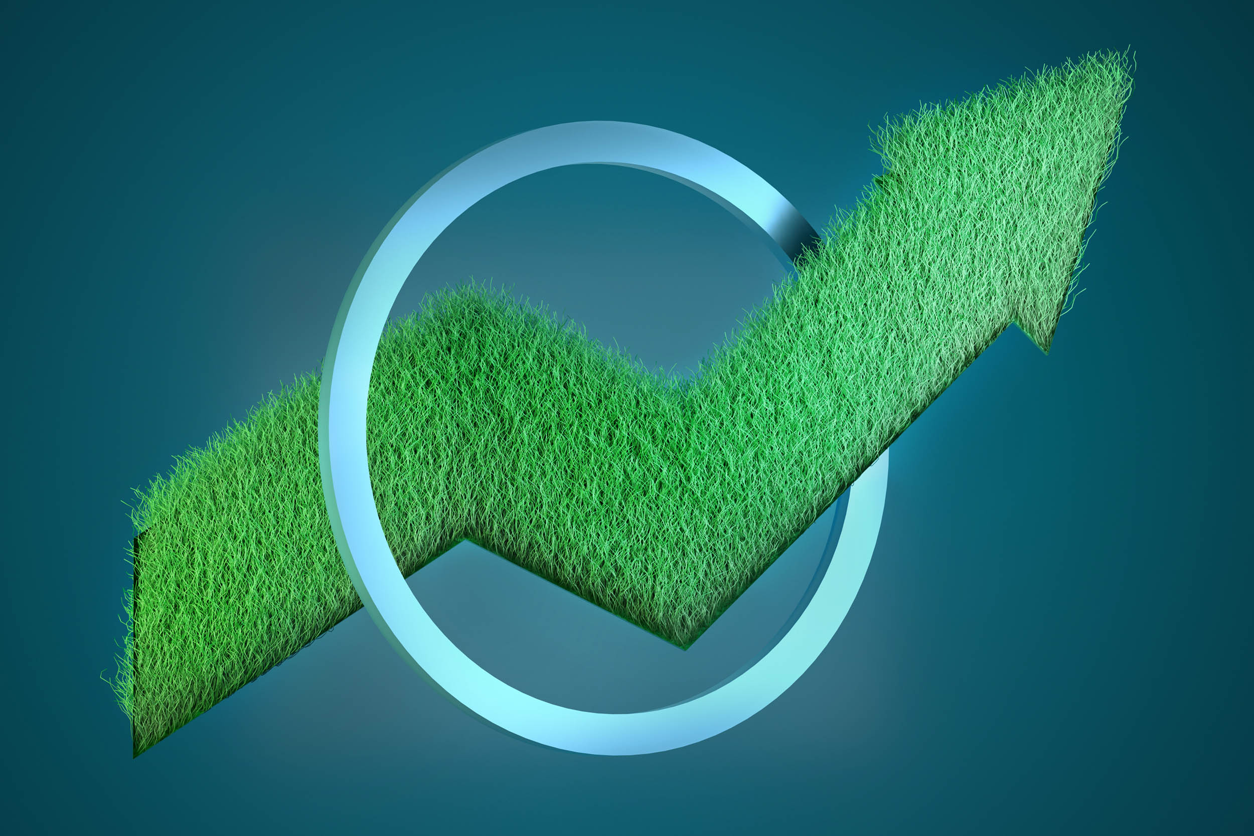 Financial Growth Representation