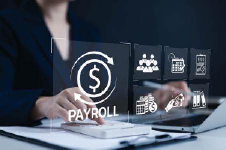 virtual payroll and salary management