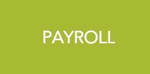 Payroll services illustration
