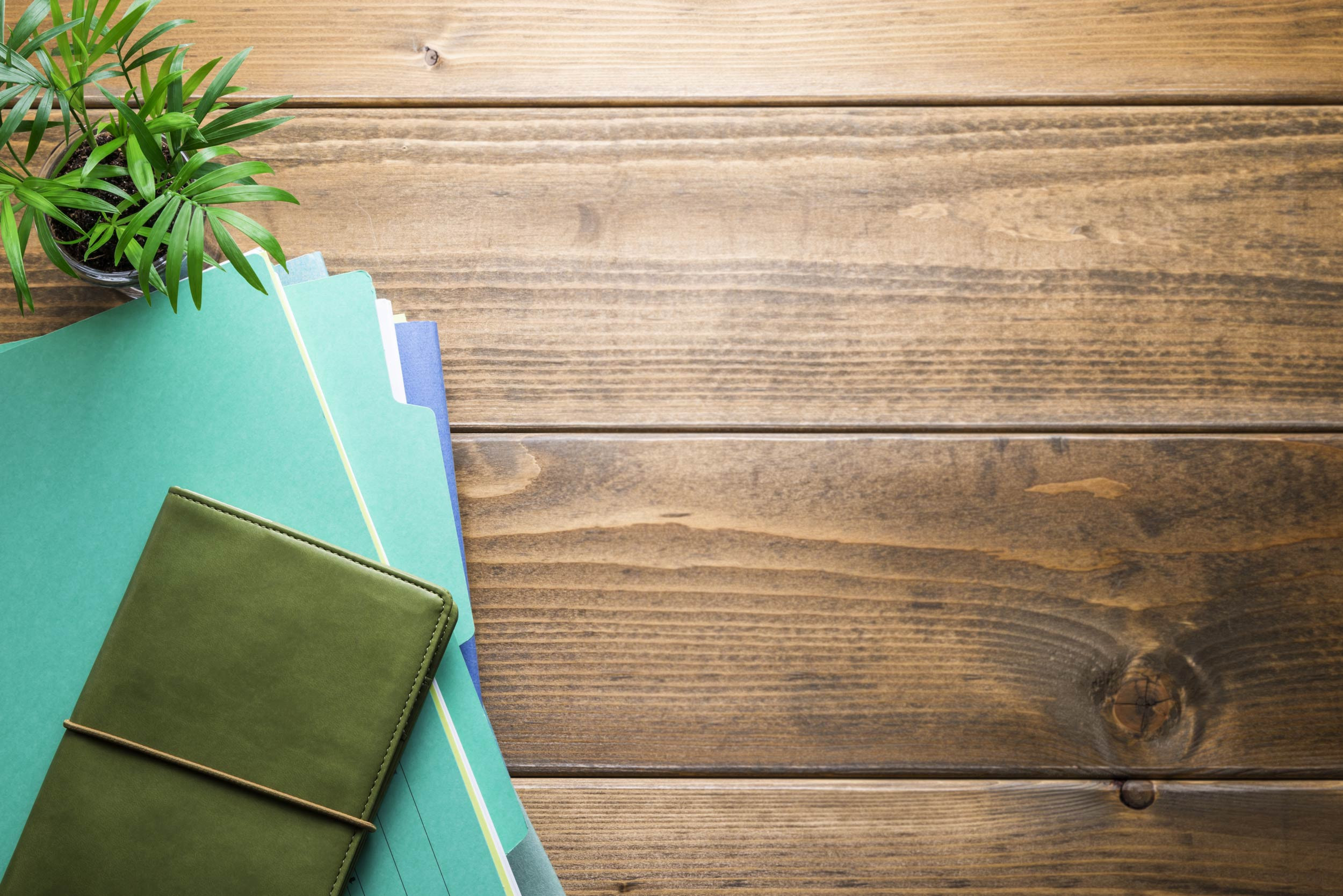 Flatlay of a bookkeeper's desk with folders and a plant to the side