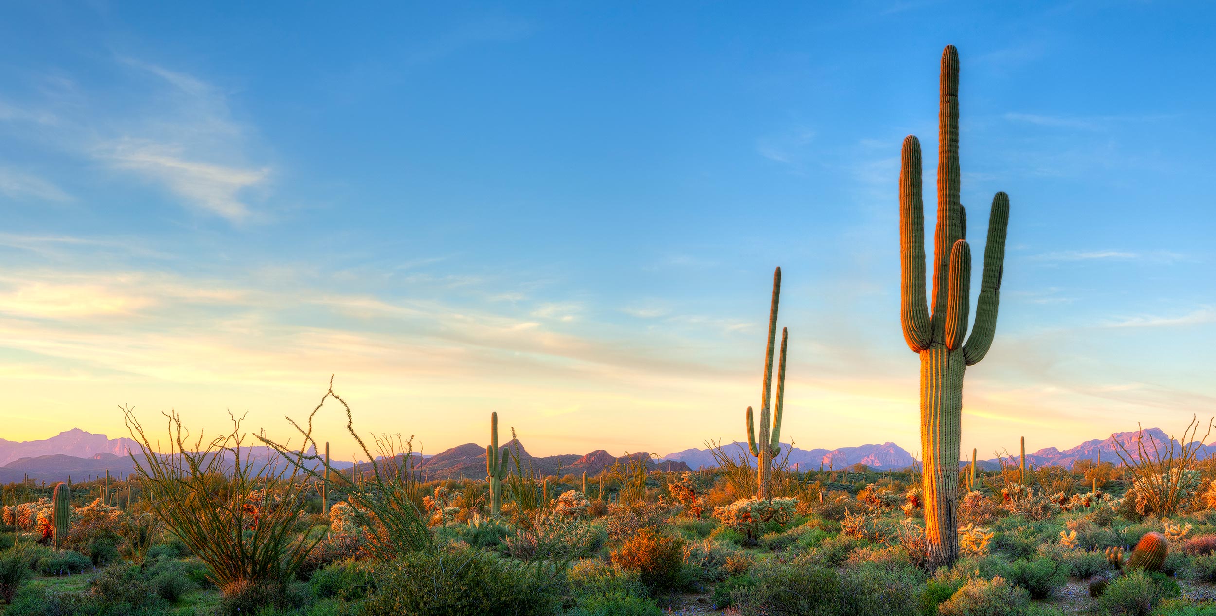 Small business growth in Gilbert Arizona