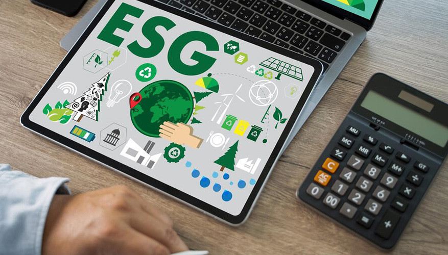 Eco-Friendly Small Business Accounting