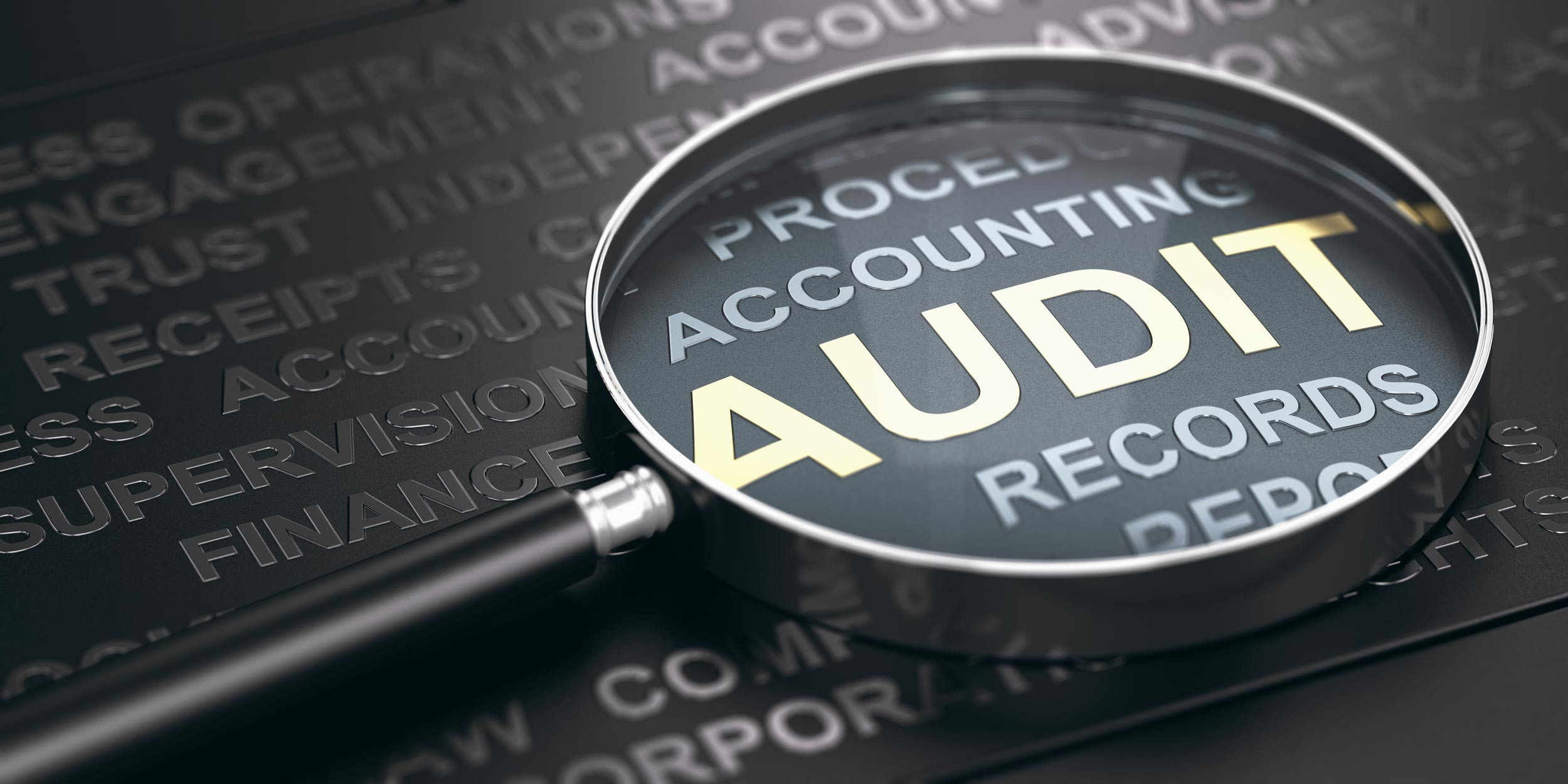 auditing the records with magnifying lens