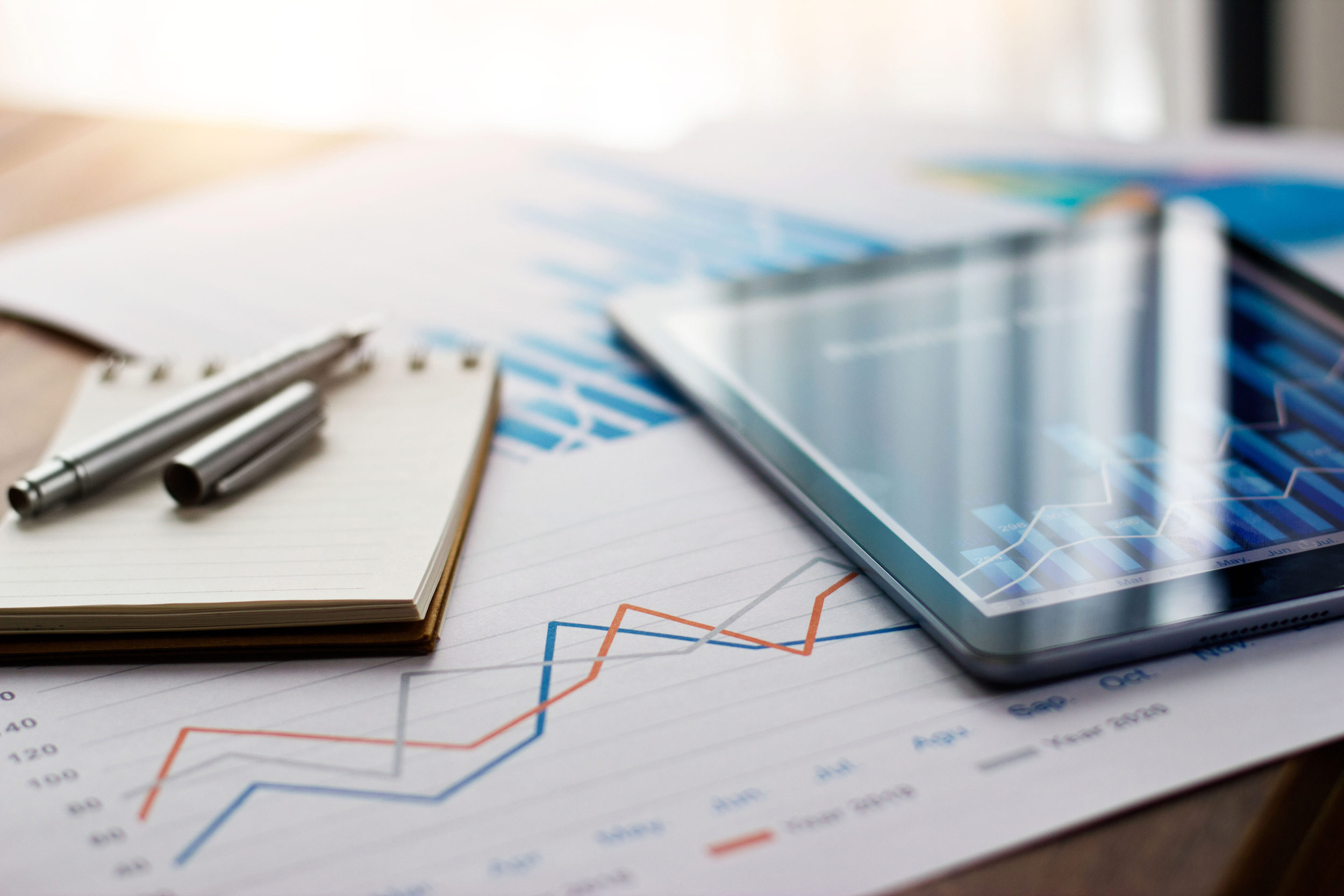 table is filled with accounting details