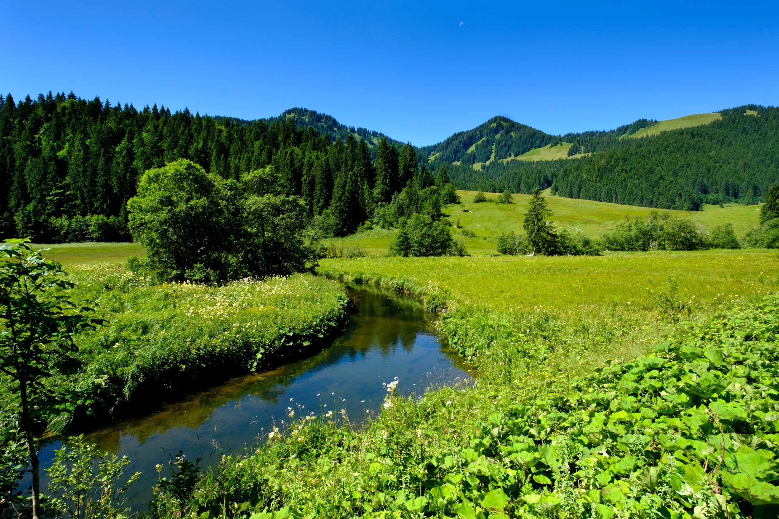 Peace of mind after IRS resolution