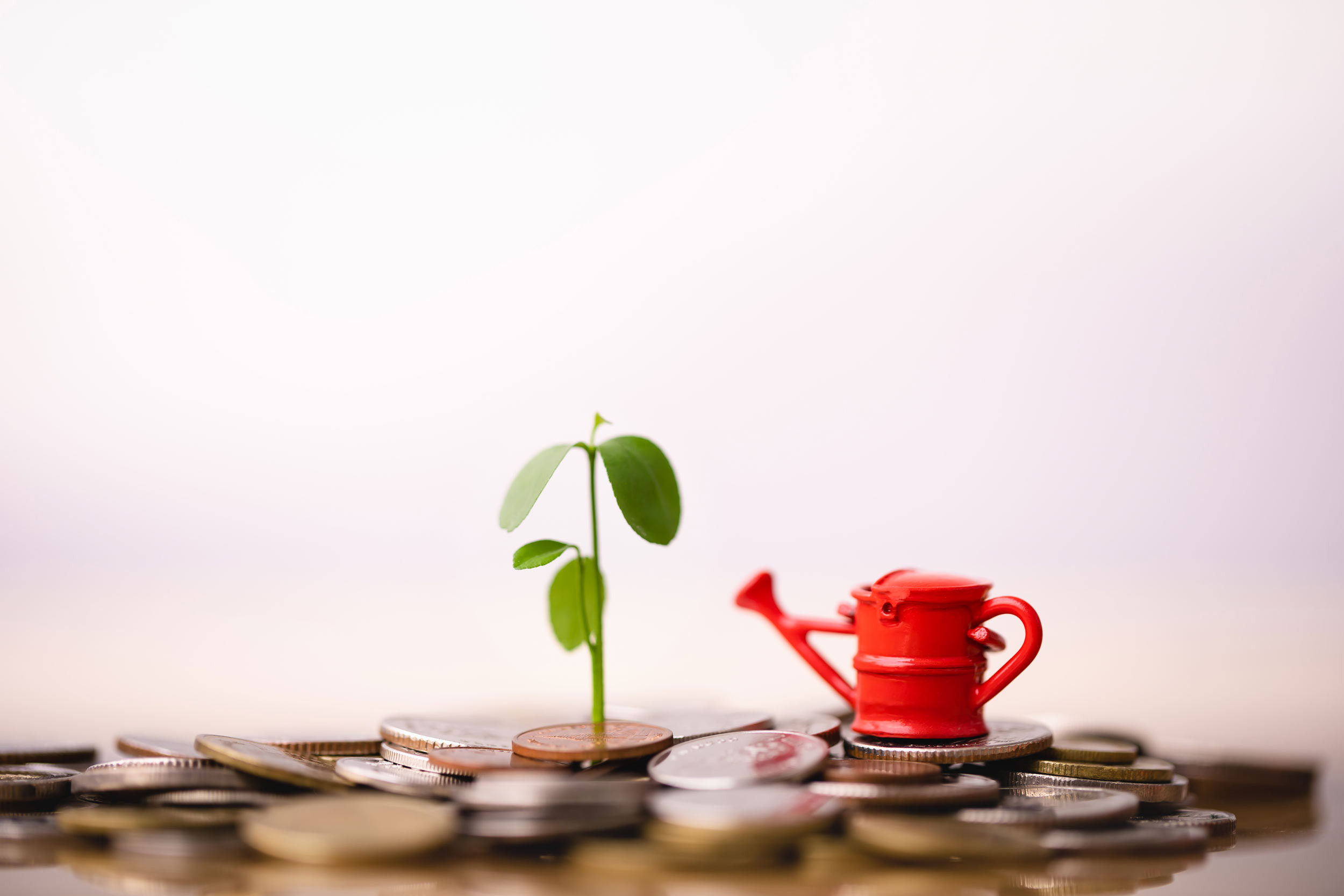 money and plant with the plant shower
