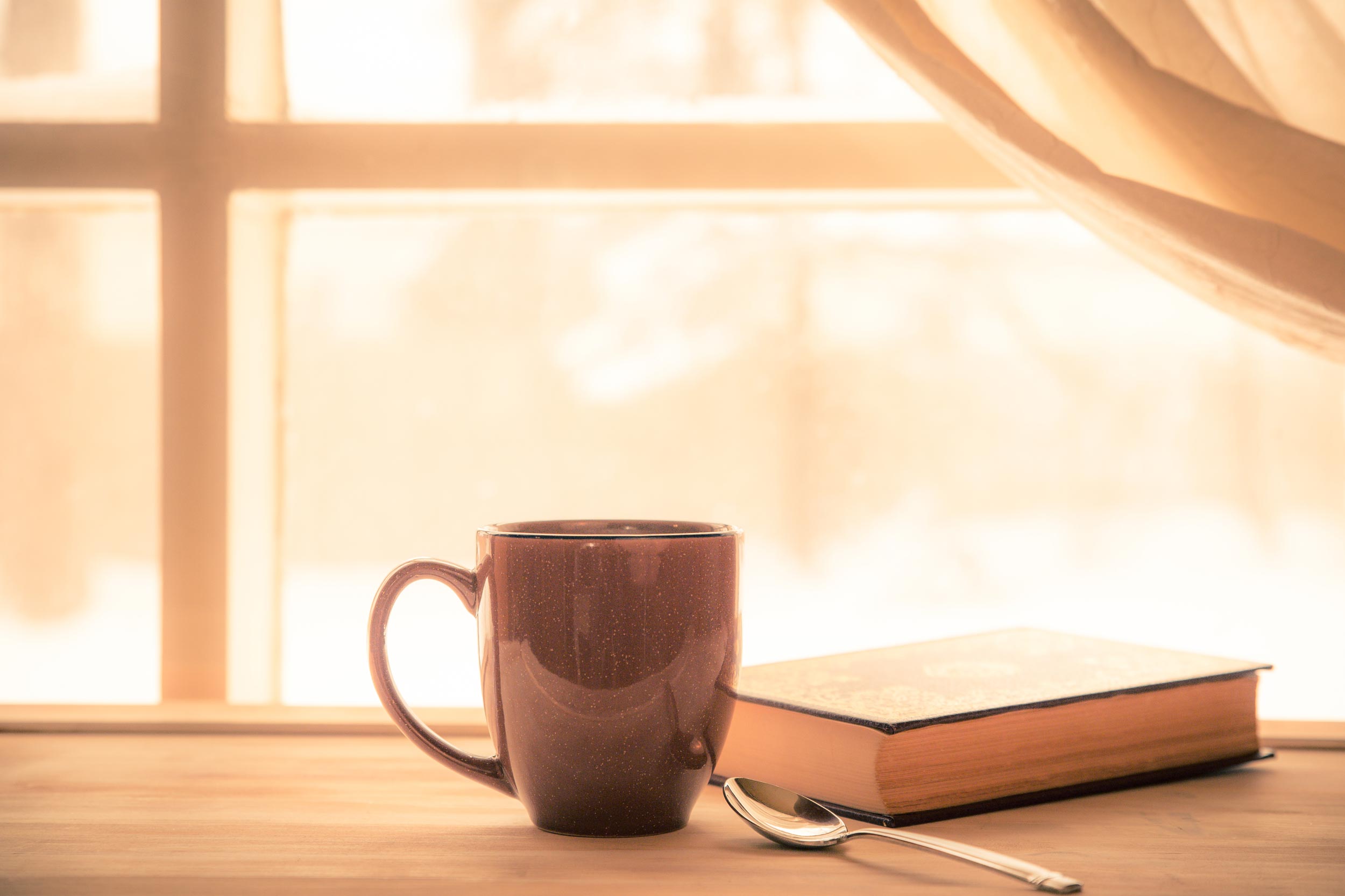 A business owner reviewing financial documents over coffee in Kent WA