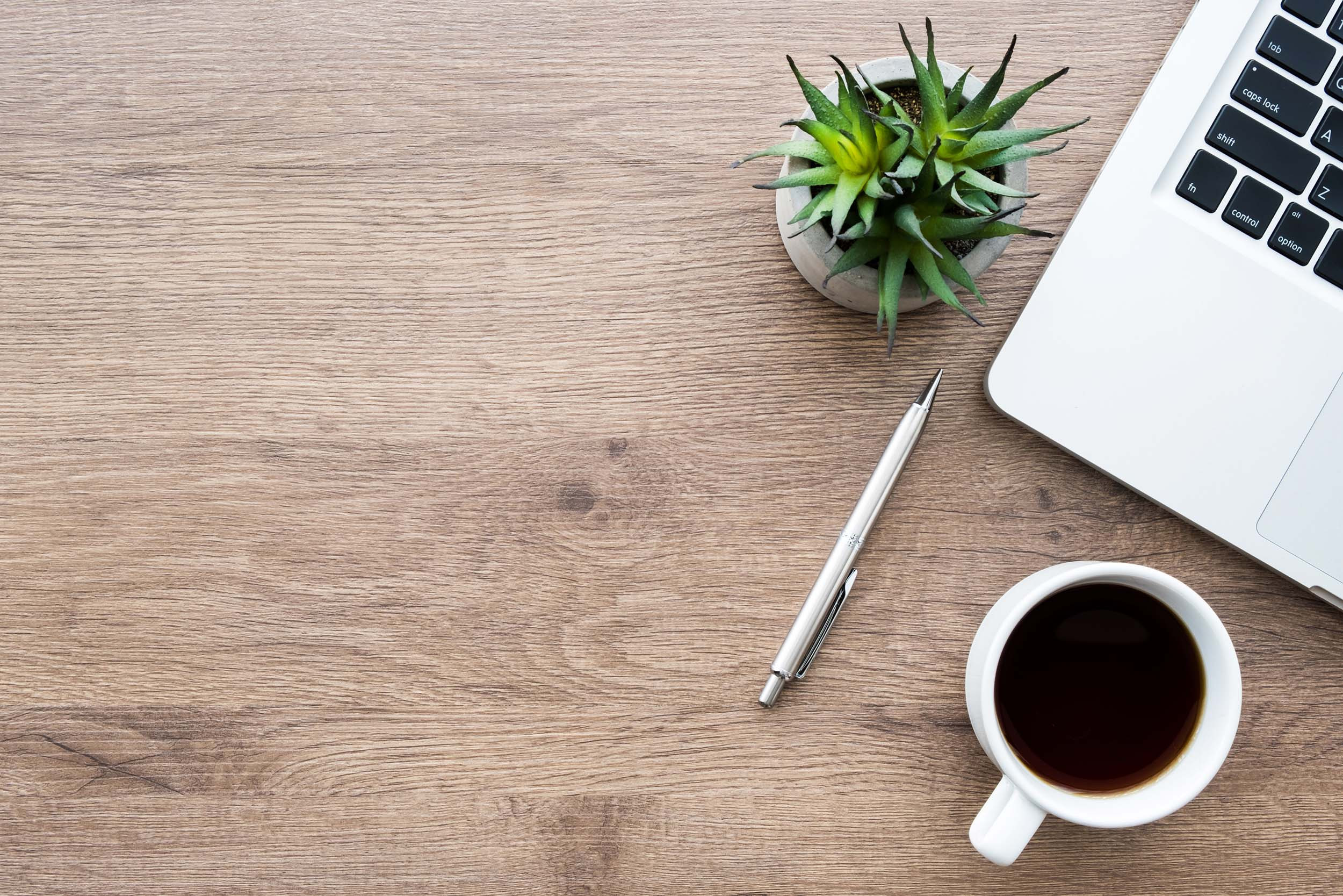 flatlay of laptop pen plant and coffee on desktop