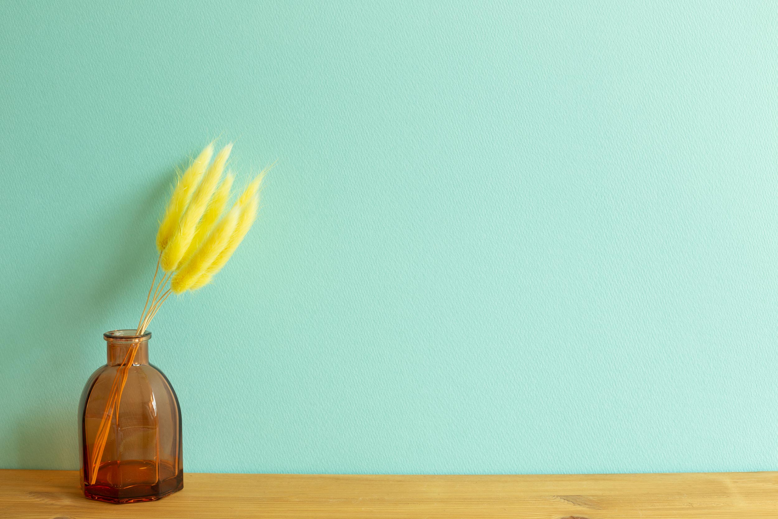 Green plant in vase symbolizing growth and long-term investment