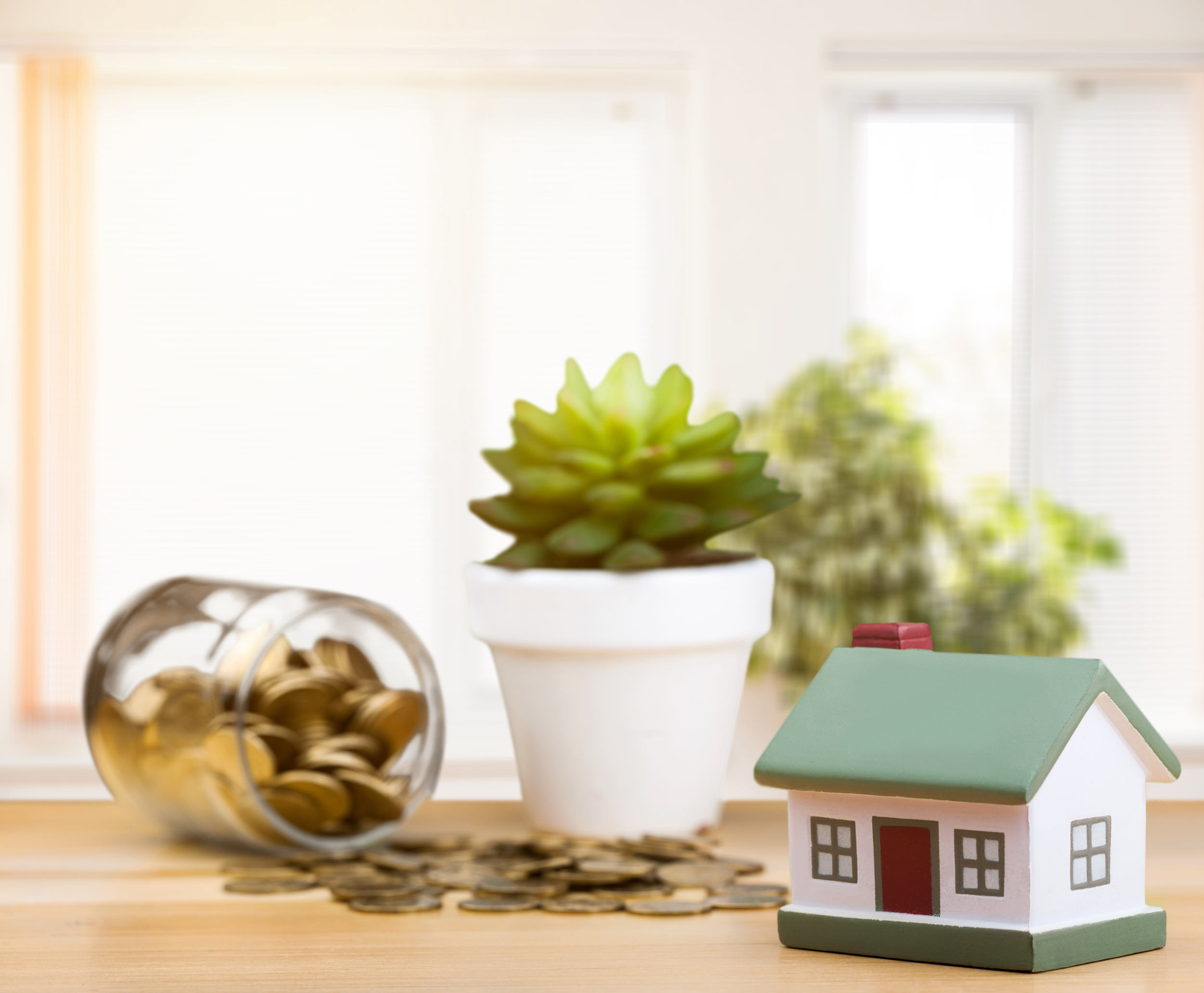 a house doll and its assets on the desktop