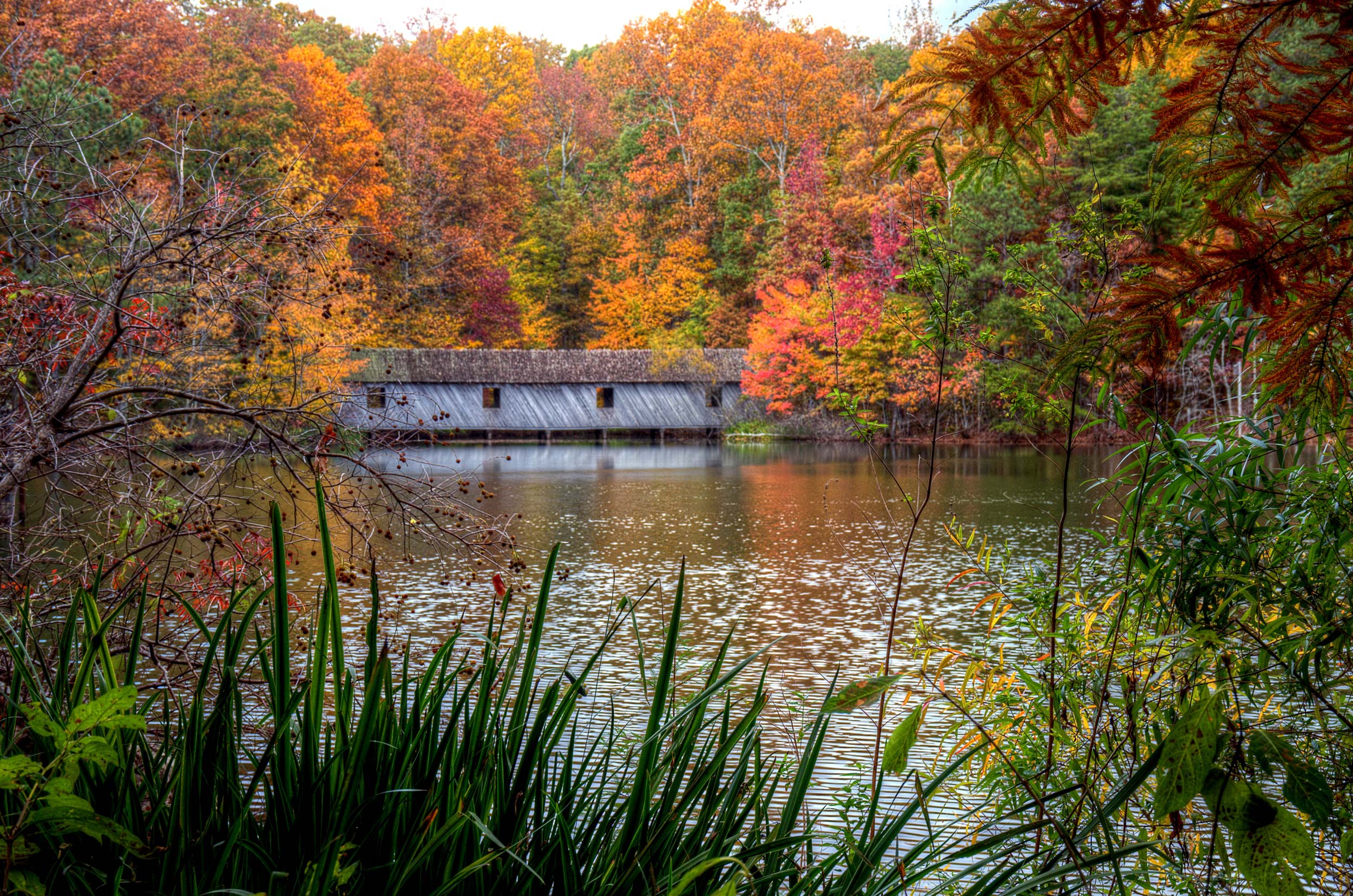 Estate and property tax planning