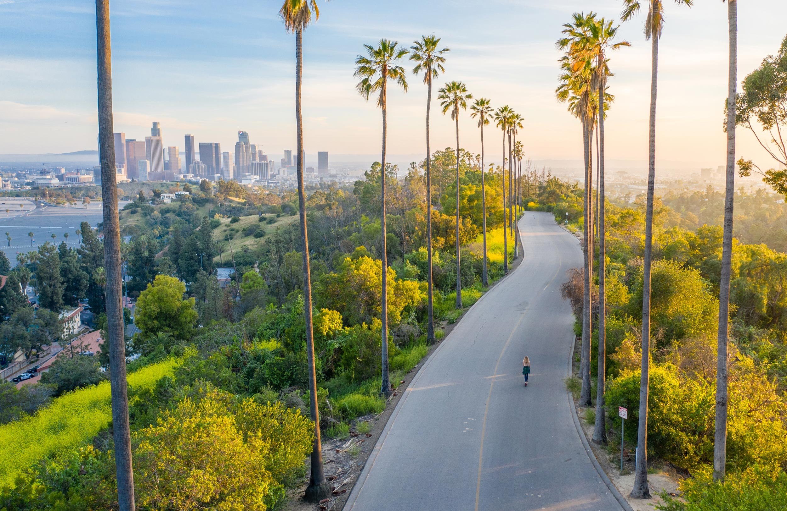 person walking down palm trees los angeles, california