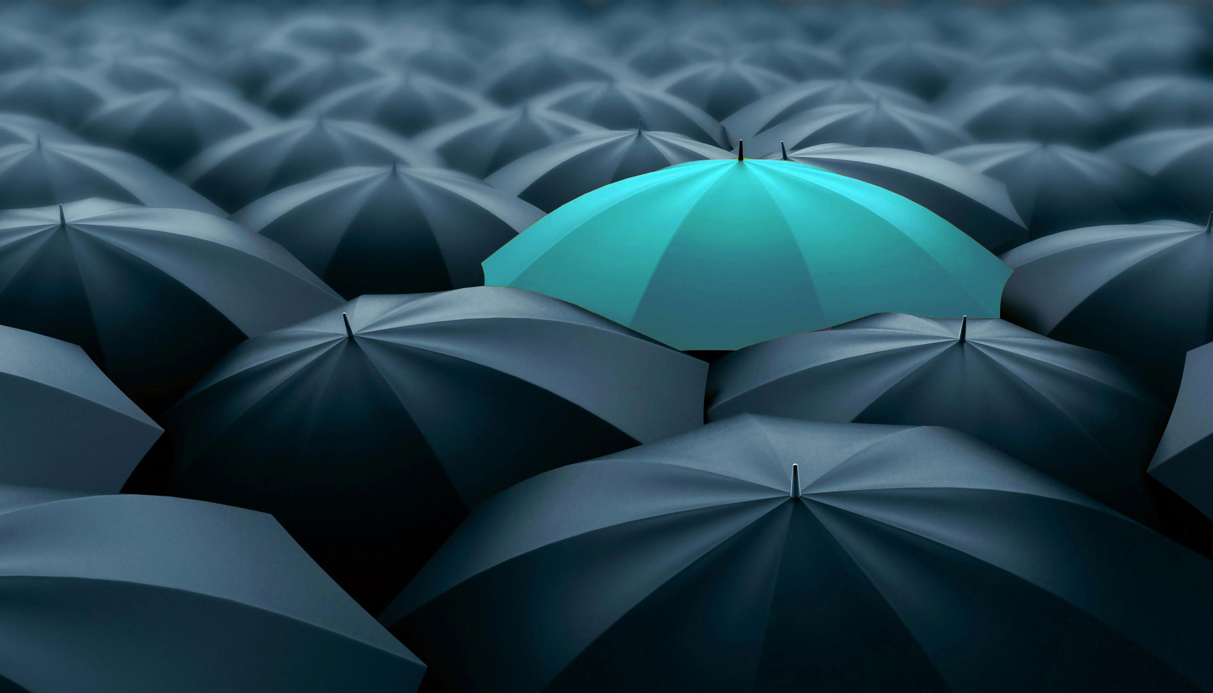 stand out of blue color umbrella in the group of black color umbrella