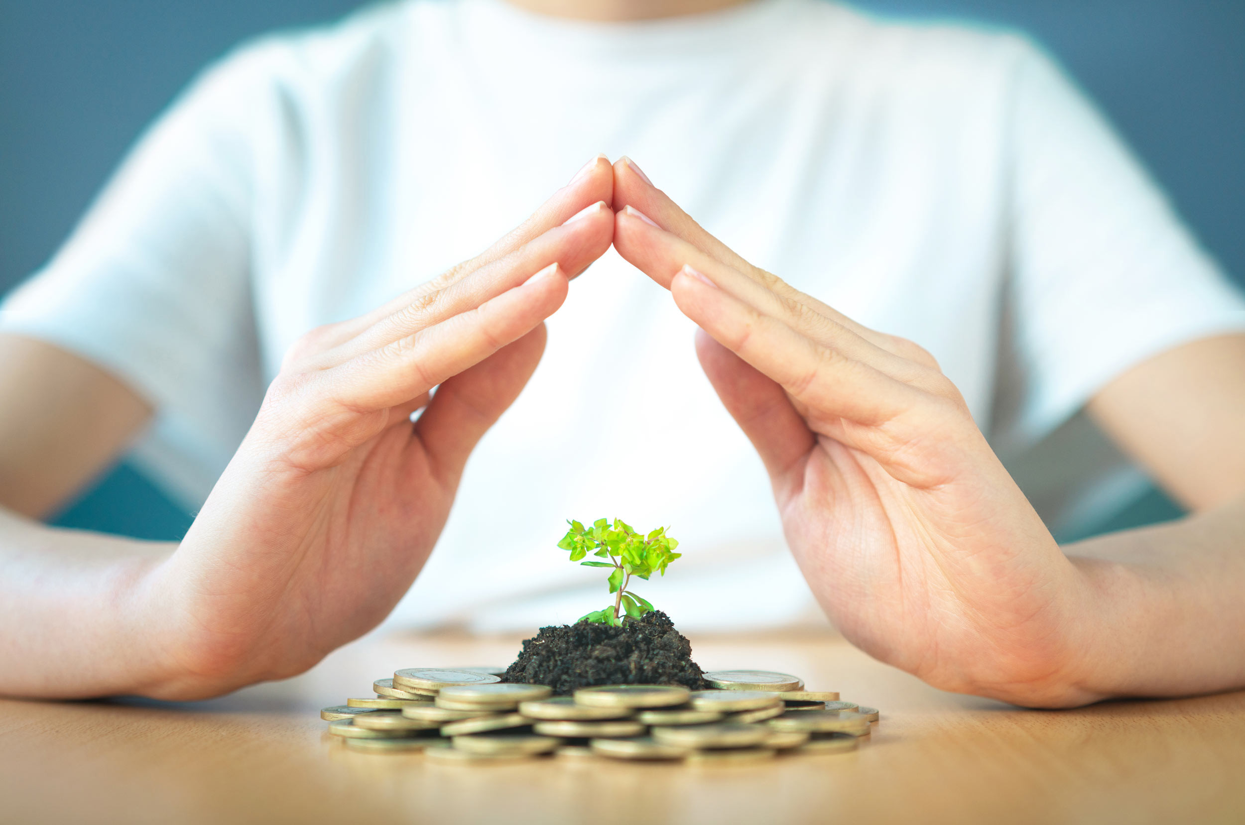 a person shielding the growing plant with hands