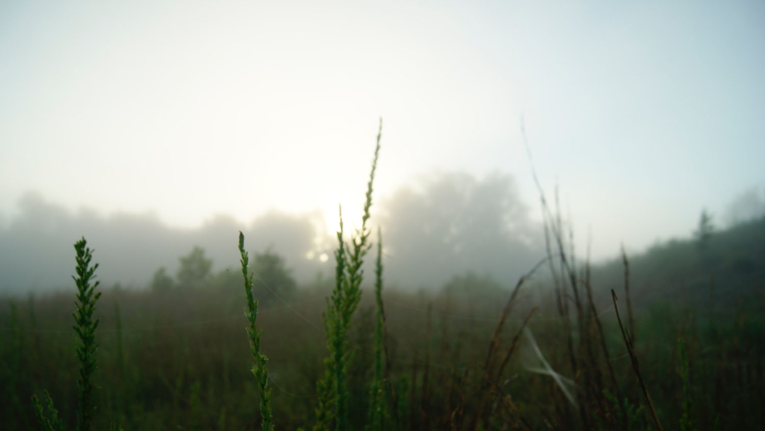 Staten Island tax planning and charitable giving