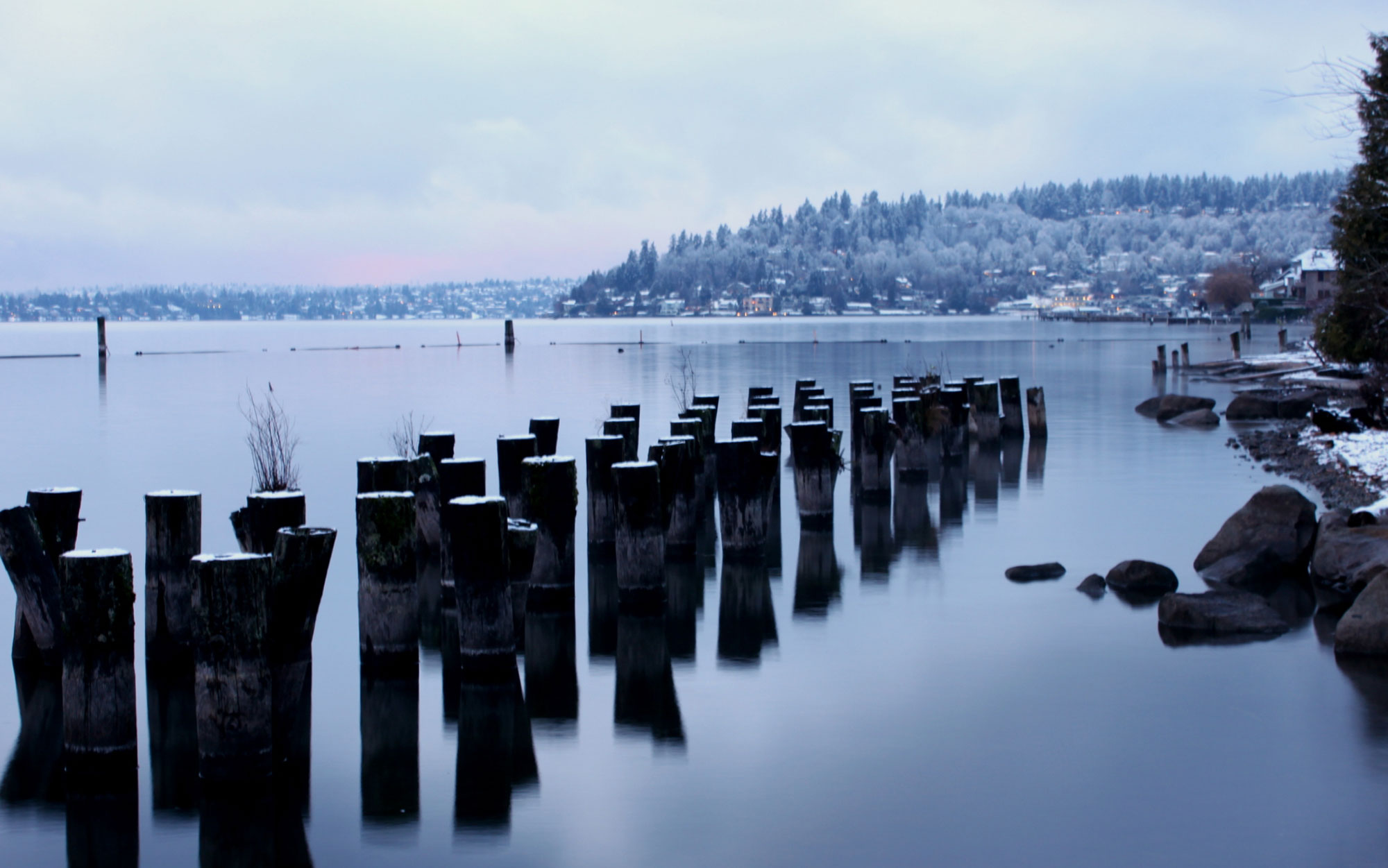 Diverse Property Types