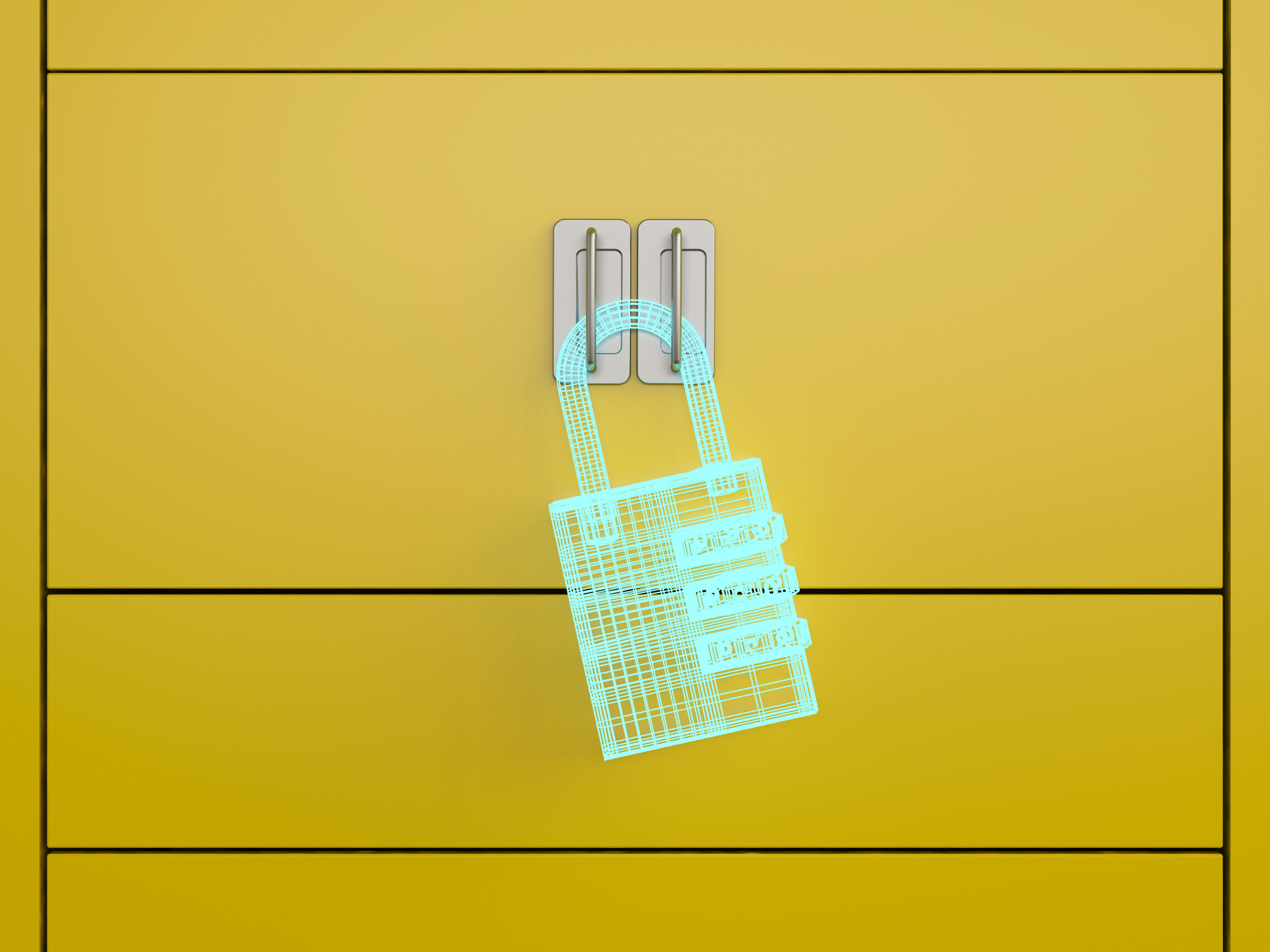 privacy cabinet with security lock pad