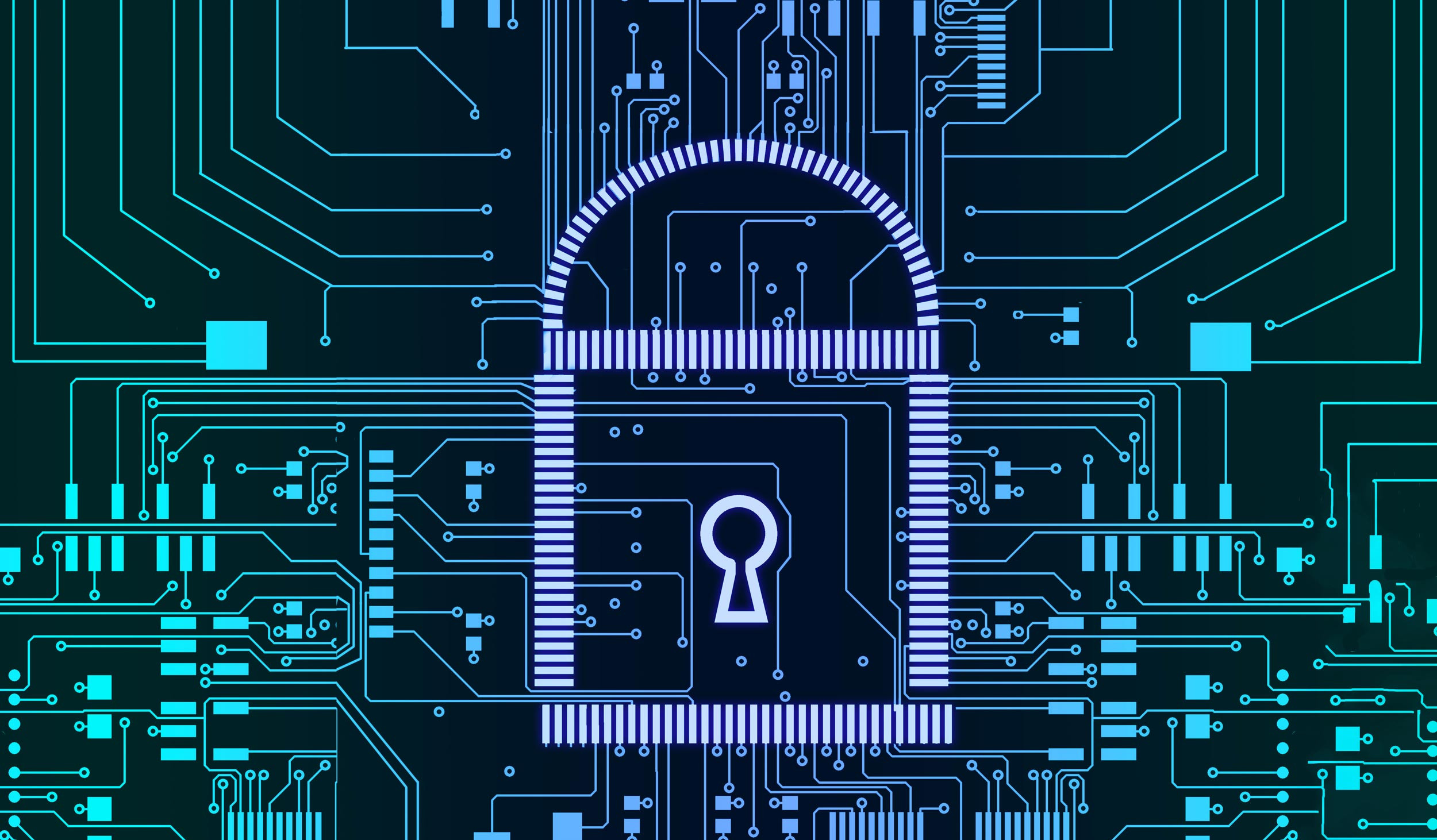 cyber security in privacy lock