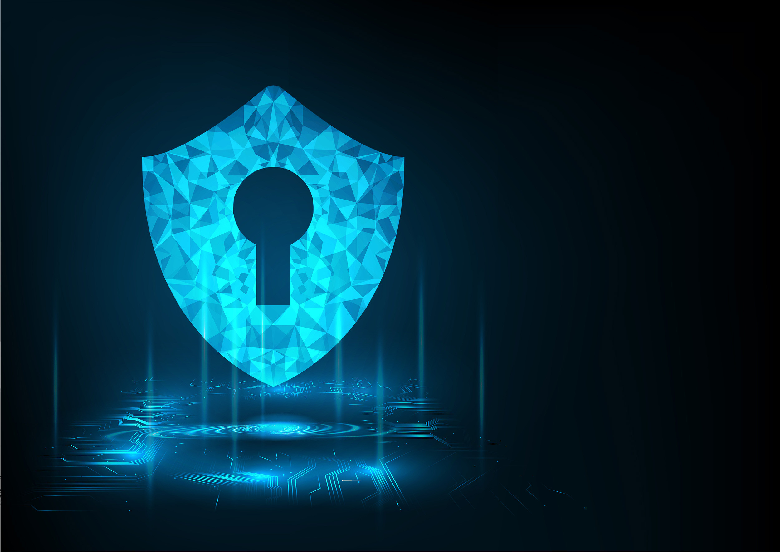 cyber security shield keyhole icon