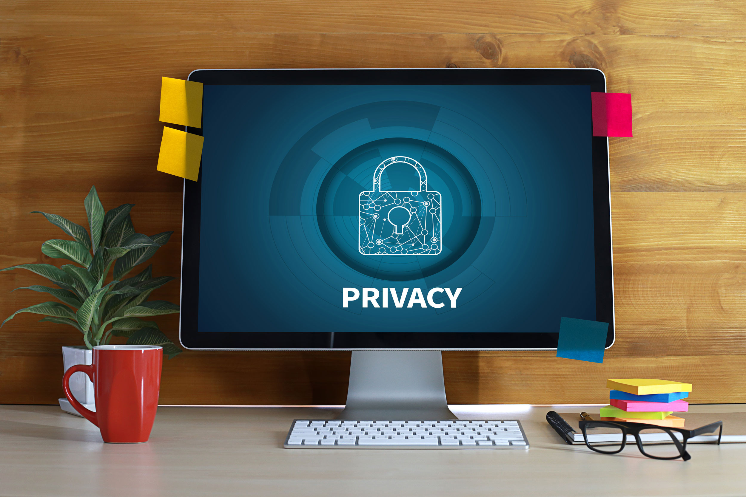 system protect your data privacy policy