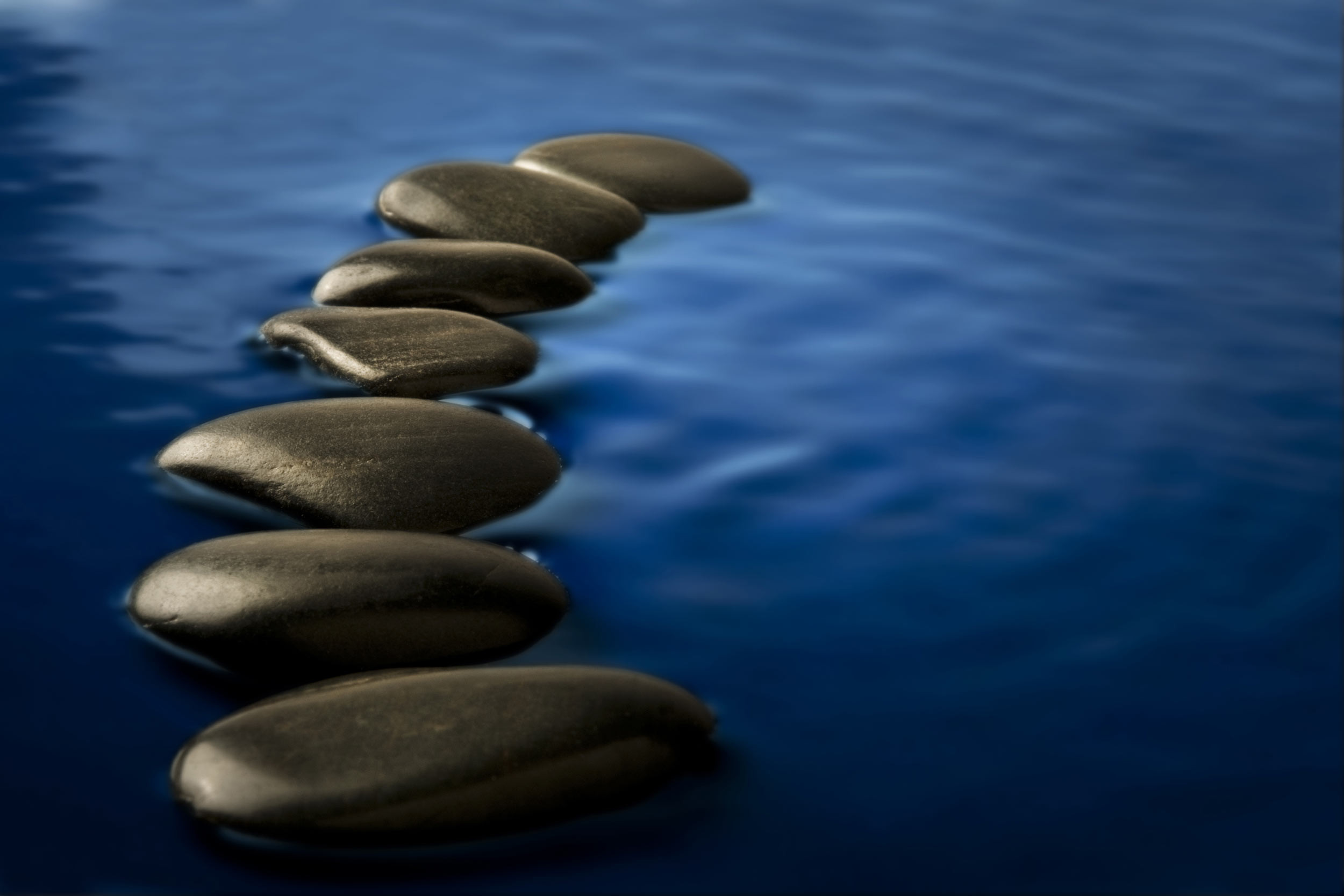 stepping stones in the water