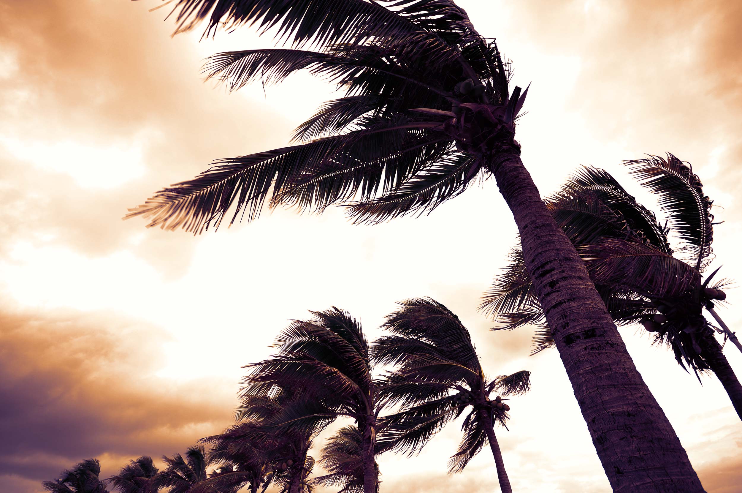 Navigating financial storms and tax deadlines
