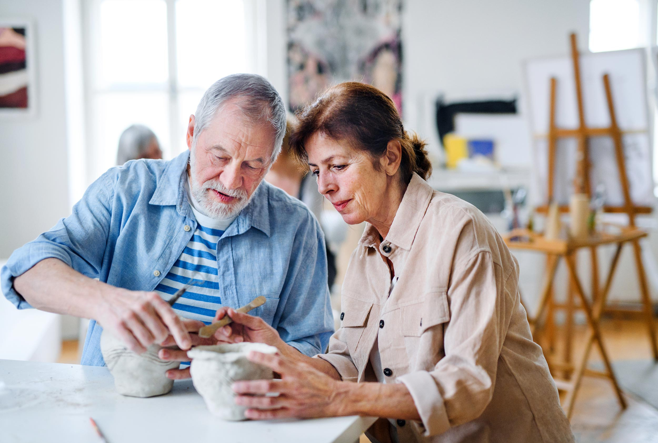 a happy retirement couple busy in painting