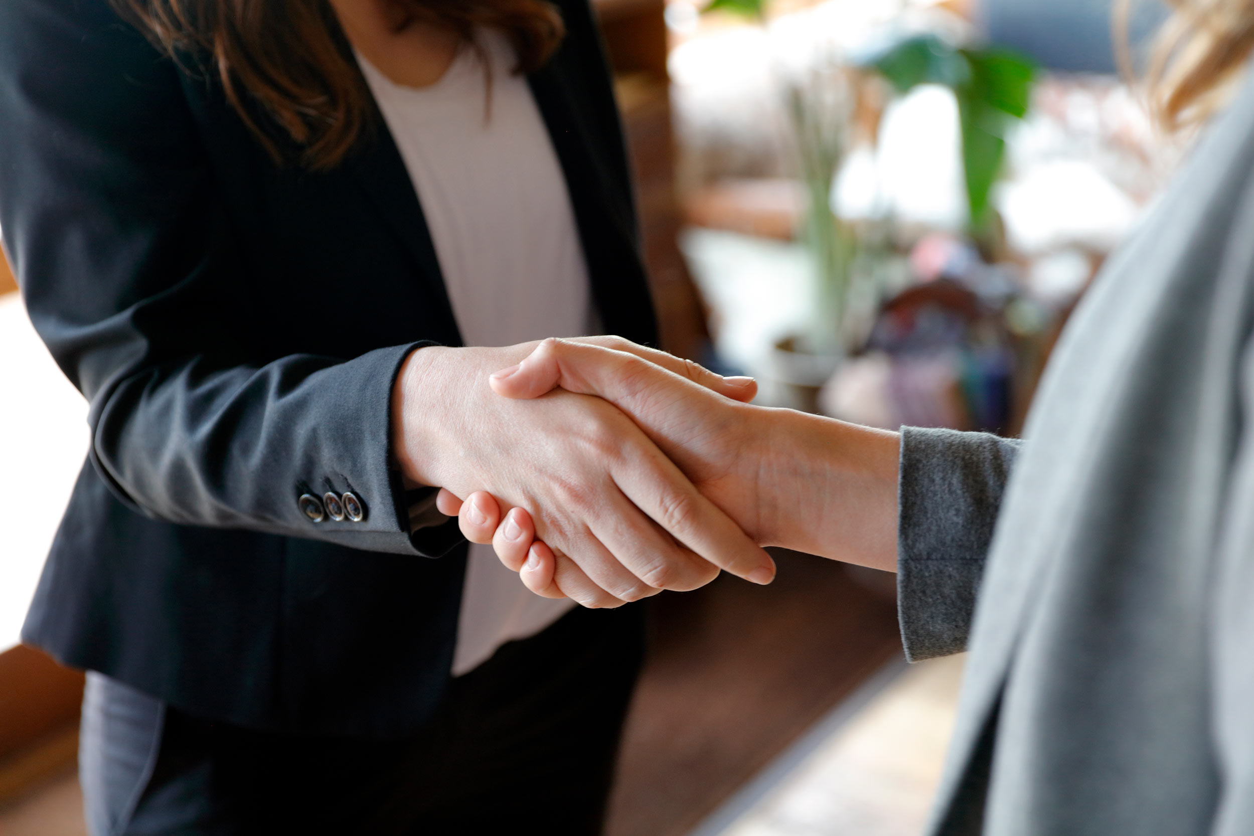 Business handshake representing professional consultation in Arizona