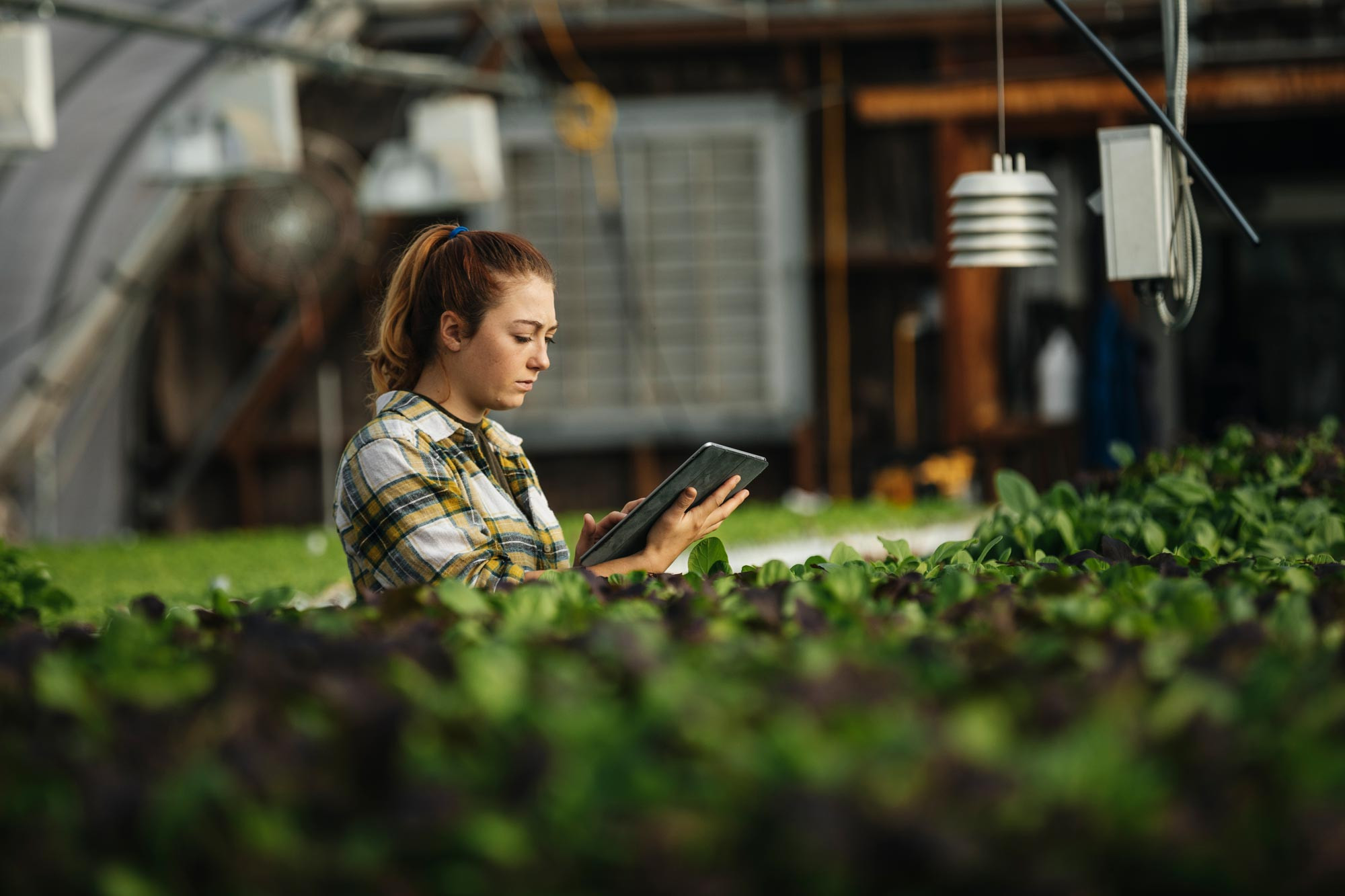 farmer using on ipad for business