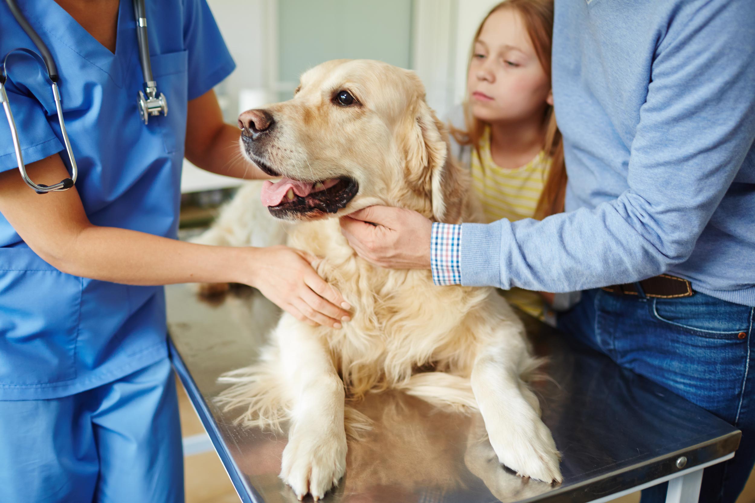 Family with dog at veterinarian