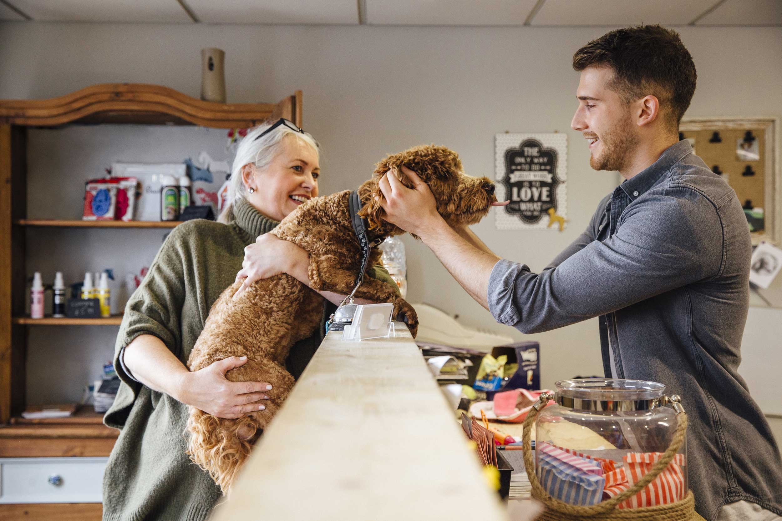 dog and person at veterinarian clinic
