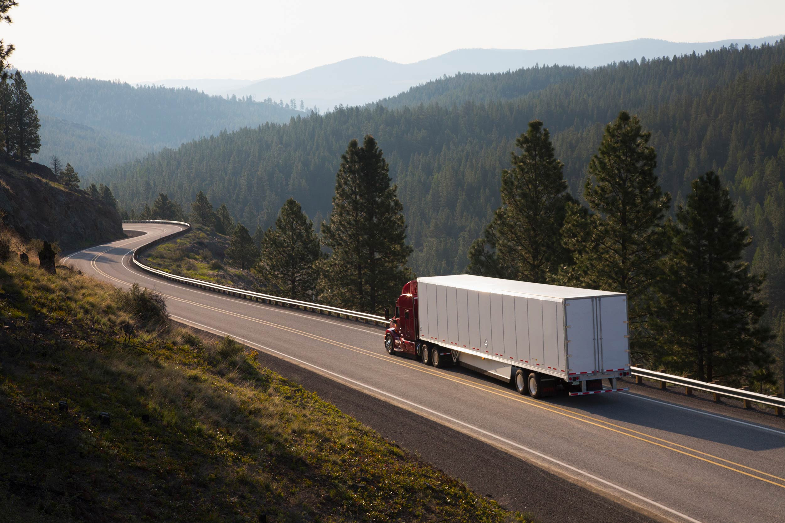 truck through forest in the road