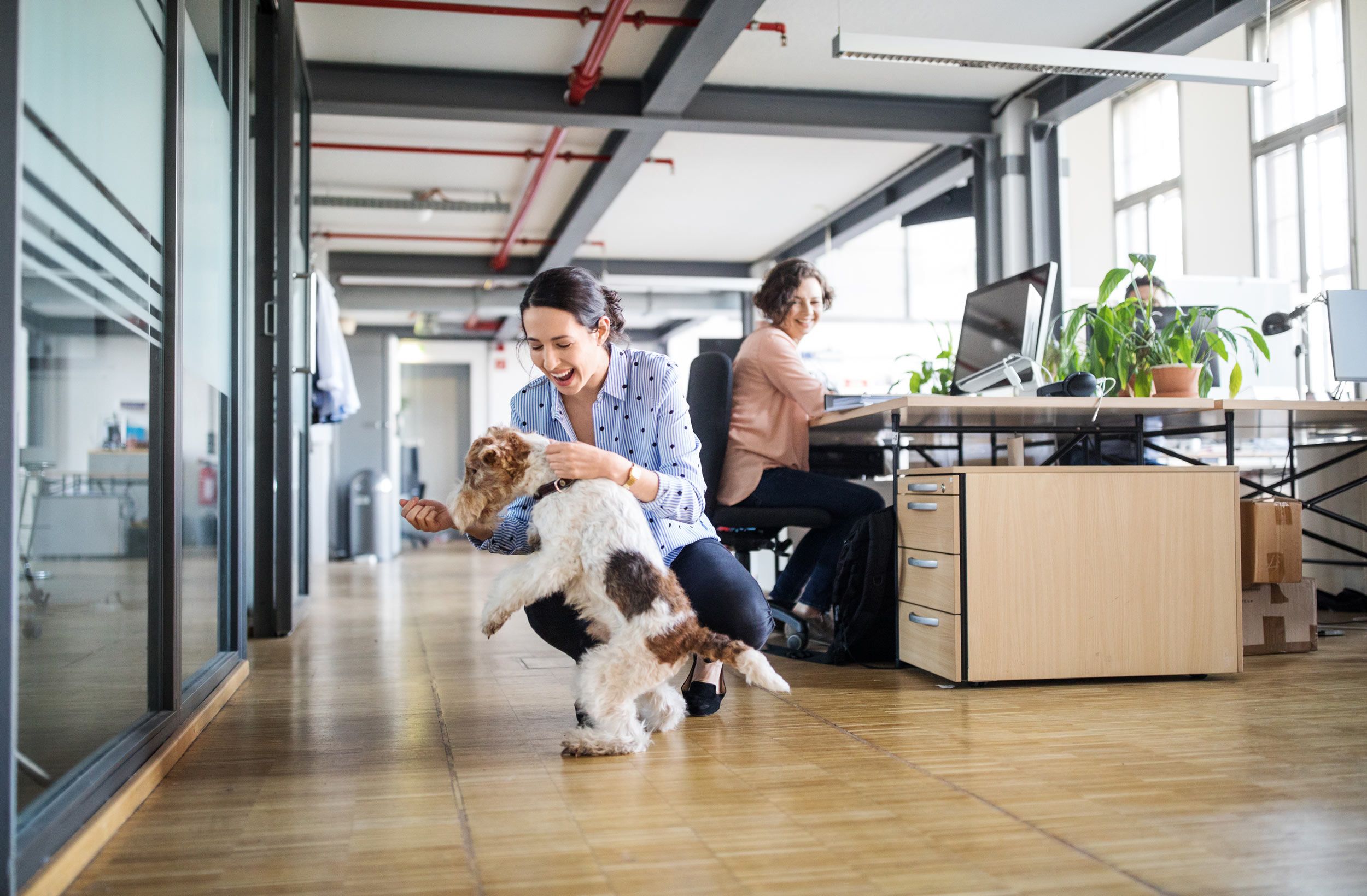 Office productivity and planning