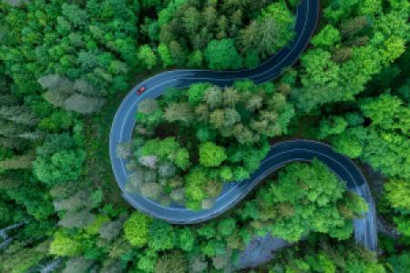 a car driving along a curved road through a green forst